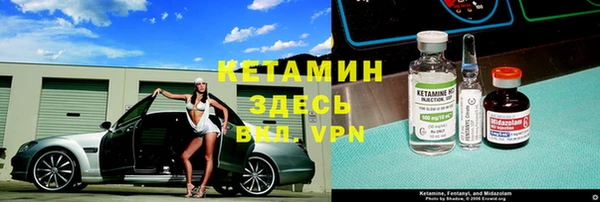 прущие грибы Богородицк