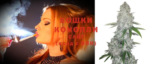 прущие грибы Богородицк