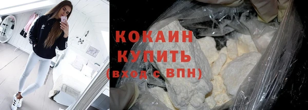 прущие грибы Богородицк