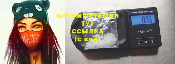 прущие грибы Богородицк