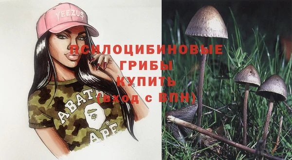 прущие грибы Богородицк
