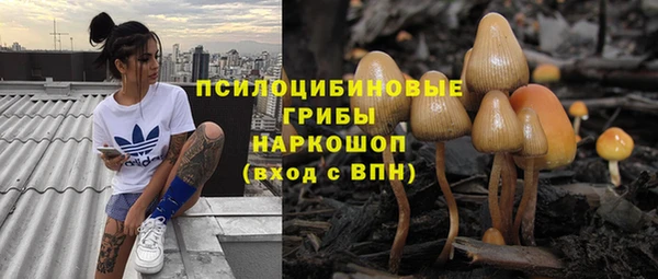 амф Богданович