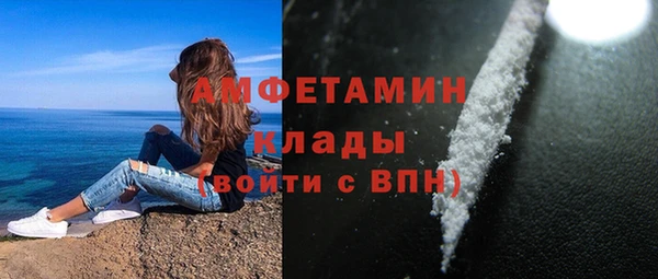 амф Богданович
