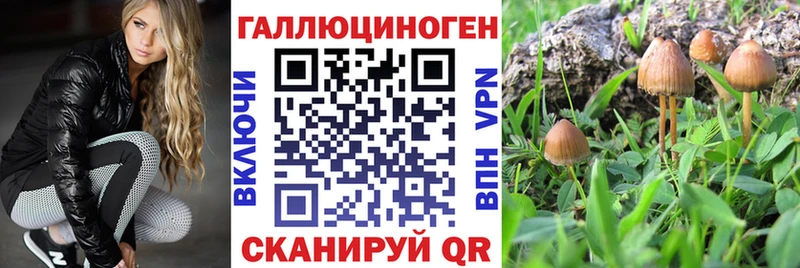 даркнет сайт  Мостовской  Галлюциногенные грибы Psilocybe 
